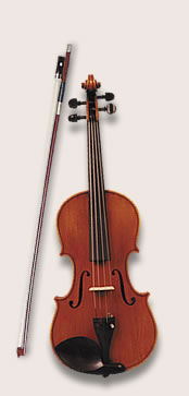 Violin