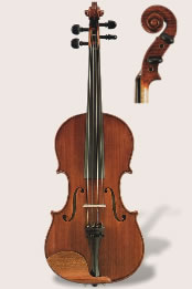 Violin